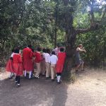 Kenya (273)